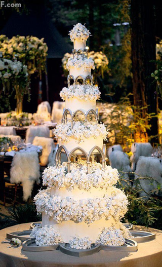 Illustration for article titled Multi-million dollar wedding, by Sean Parker.